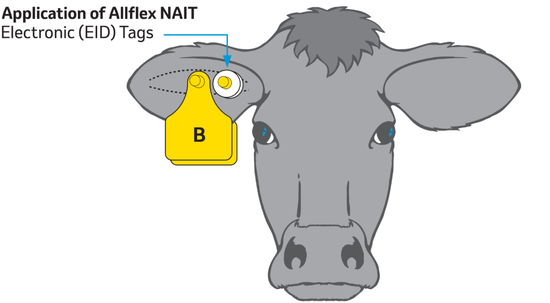 Application Technique And Tag Loss Application Technique And Tag Loss